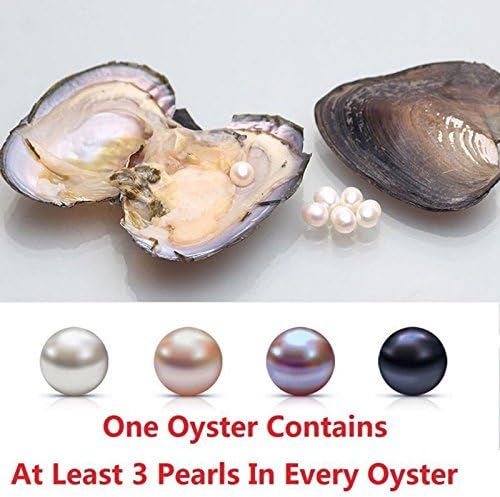 1pc Oyster Contain 3 Pearls Triplets Akoya Oyster Contain Round Pearl At Least 3 In Every Oyster 6-8mm