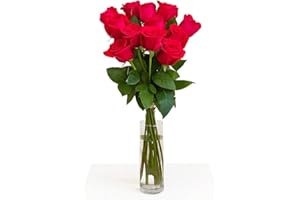 FLORES SOLIDARIAS TRABAJO & VIVIENDA FLORES SOLIDARIAS - Ramos de Flores Naturales Rosas Rojas - Ramo Fresco de Calidad para Regalo, San Valentín, Día de la Madre, Bodas, Aniversarios, Cumpleaños y Decoración del Hogar