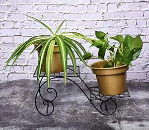 HINS Black Solide Stand With 2 Golden Flower Plant Pot Metal Pots For Indoor Plants I Elevated Garden Planter I Raised Planter I Desk Plant I Raised Planter Box I Ascent Homes Metal Planter I Raised Planter Box With Legs I Brass Pots For Indoor Plants I Golden Planter I Mid Century Plant Stand I Brass Planters For Indoor Plants I Indoor Plant Stand For Living Room I Metal Planters Pot For Indoor Plants designer pots for indoor plants