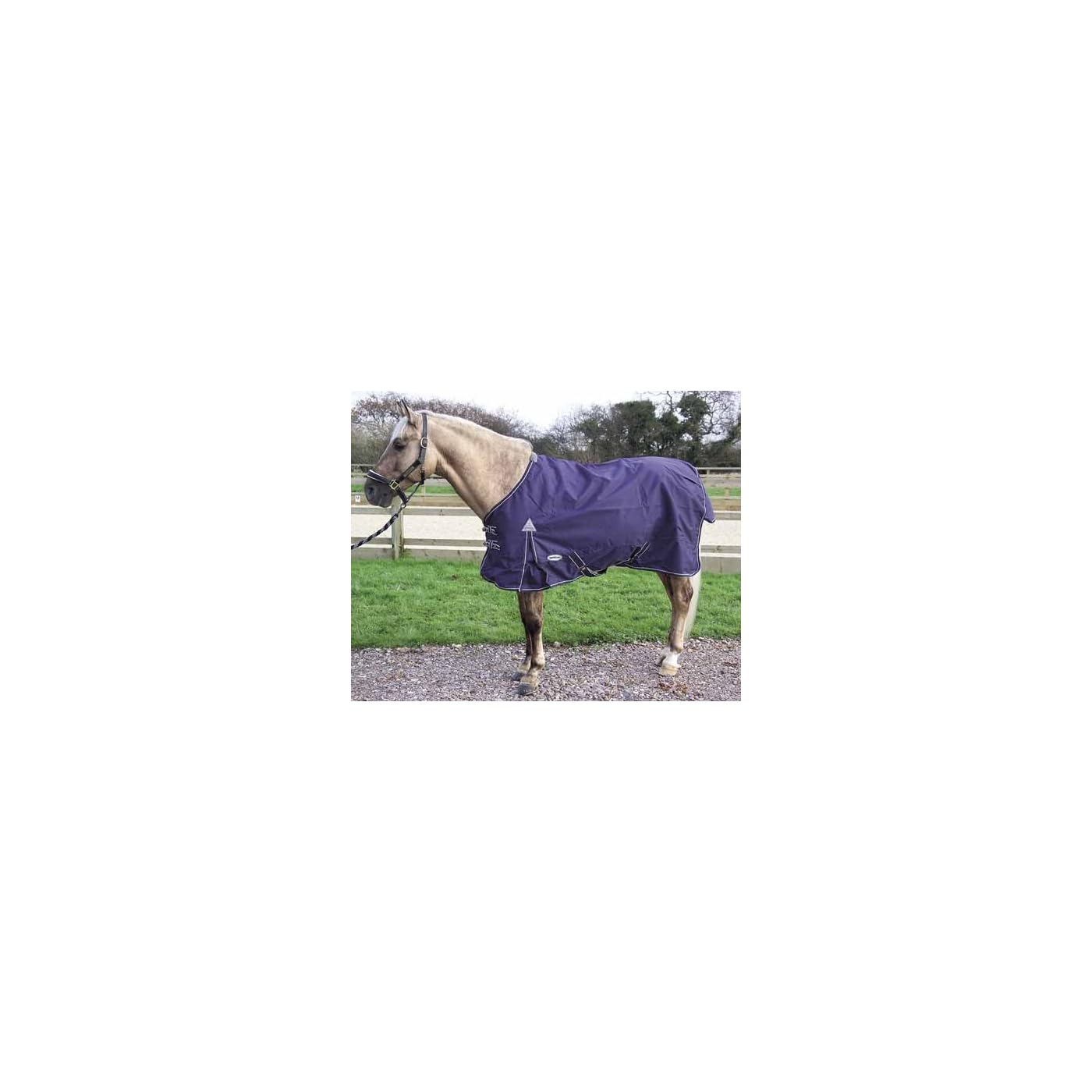 Horse ‘n’ Pony