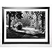 Produktbild NAGLER Image encadrée Path into the Woods 67x87 cm Gris