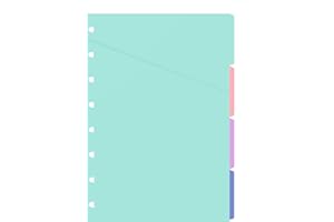 Filofax 152015 - Divisor (A5, 153 mm, 210 mm)