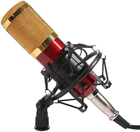 Dolotu BM Series Dynamic Condenser Microphone Sound Studio Recording Mic+ Shock Mount + Microphone Windshield- Professional Studio Broadcasting &amp; Recording Microphone SetEnjoying Singing Speaking High Party (BM800, Red)