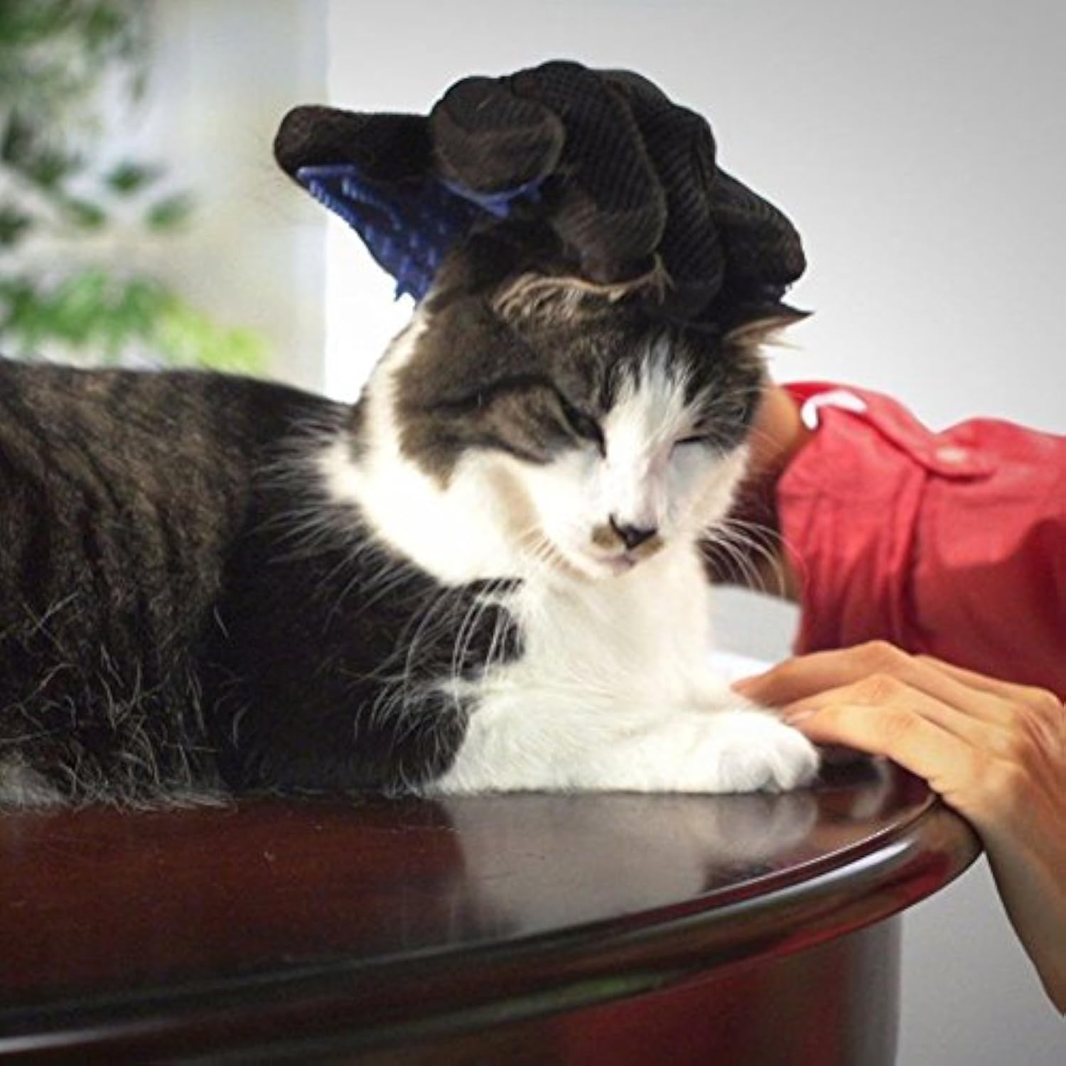 Naicasy Brosse De Toilettage En Métal Pour Chienchat Rose