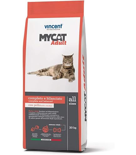 Guarnizione Gomma Per Tappo Fusto Olio 23 Cm - Per Bidoni Da 25 A 100 Litri - Foto 8