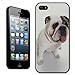 Price comparison product image Fancy A Snuggle Puppy Bull Dog Sitting Clip On Back Cover Hard Case for Apple iPhone 5