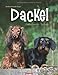 Dackel 2014 / Dachshunds 2014 / Teckels 2014 by 