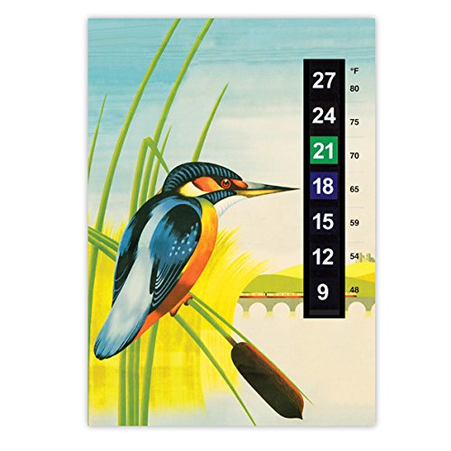 A5 Adult Large Scale Room Thermometer - Kingfisher