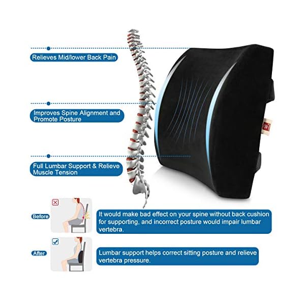 LoveHome Lumbar Support Pillow Back Cushion for Office Chair with Memory Foam and Velvet Cover Relief Lower Back Pain for Car Sofa - Image 7