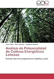 Image de Analisis de Potencialidad de Cultivos Energeticos Lenosos