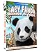 Baby Panda