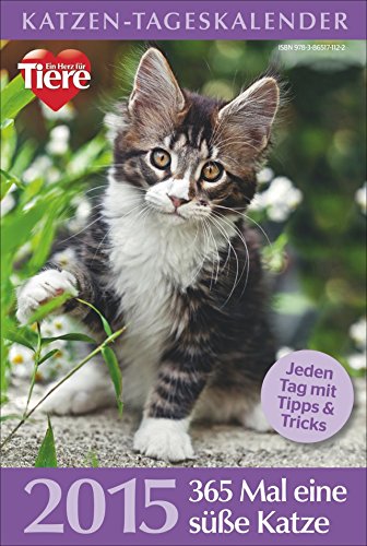 Katzen-Tageskalender 2015