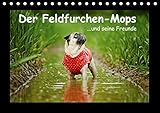 Der Feldfurchen-Mops (Tischkalender 2016 DIN A5 quer): ...und seine Freunde (Monatskalender, 14 Seiten ) (CALVENDO Tiere) by 