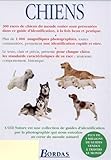 Image de Les chiens