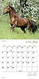 Image de Chevaux 2013 Calendrier