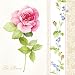 Produktbild "La Rose – Pack von 20 Papier Servietten – 33 x 33 cm, 3-lagig, Shabby Chic