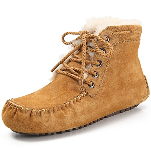 « Click to Enlarge and to go to Amazon »