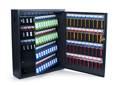 Pavo 8047215 Caja para llaves de alta seguridad (capacidad para hasta 150 unidades) gris