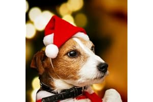Dusenly 2pcs Dog Santa Hat Christmas Pet Christmas Santa Hats Photo Props for Puppy Kitten Small Cats Dogs