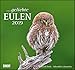... geliebte Eulen 2019 - DuMont Wandkalender - mit den wichtigsten Feiertagen - Format 38,0 x 35,5 cm by 