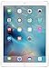 Produktbild Apple ML0V2FD/A iPad Pro WiFi 256GB gold