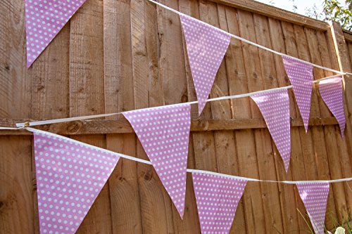 Pale Pink Polka Dot Bunting Flags for Girl Baby Shower Party (C1010)