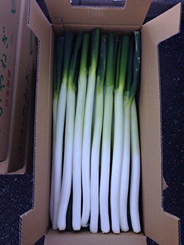 産地直送！深谷ねぎ (皮むきねぎ5kg(Lサイズ以上）)