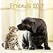 Friends 2019 - Tierkalender, Broschürenkalender, Wandkalender - 30 x 30 cm by 