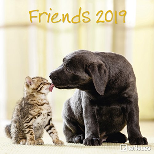 Friends 2019 - Tierkalender, Broschürenkalender, Wandkalender - 30 x 30 cm