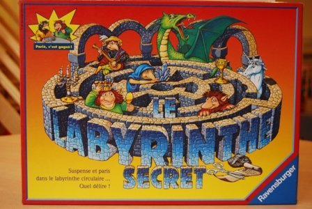 couverture de : Le labyrinthe secret