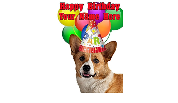 corgi party hat