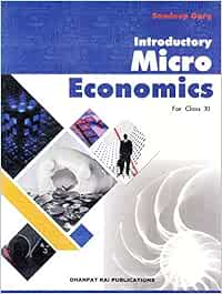 Introductory Microeconomics For Class 11 18 19 Session By Sandeep Garg Sandeep Garg Amazon In Books