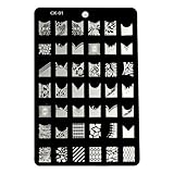 Davidsonne Large Nail Art Polish Manicure Stamping Image Plate Template DIY Decoration CK-01