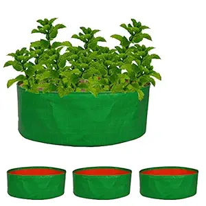 Nabaat Terrace Gardening Grow Bag for Vegetable Fruits Plants with Free Seeds (18 x7 )  Pack of 3