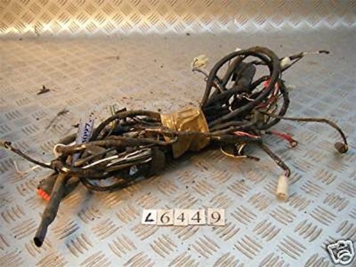 Preisvergleich Produktbild Kabelbaum Vespa ET4 Roller Scooter