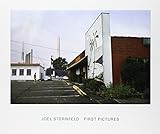 Joel Sternfeld : First Pictures by 