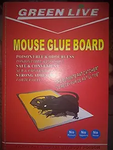 GT Gloptook Rat Glue Trap Set of 2 - Mouse Insect Rodent Lizard Rat Catcher Adhesive Sticky Glue Pad Terminator Ultimate Trap for Rat Roda Box