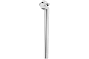 Kaneorooir Bicycle Seatpost 27.2mm Aluminium Alloy Seat Post with Adjust Clamp for Mountain Bike Road Track 27.2X300mm,Silver