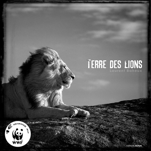 Download Terre des lions Download Terre des lions