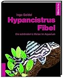 Image de Hypancistrus-Fibel: Die schönsten L-Welse im Aquarium