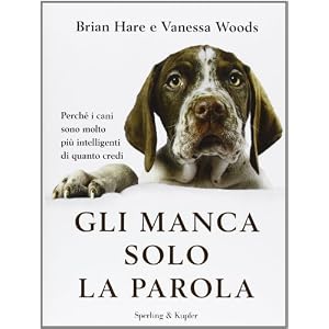 Gli manca solo la parola. Perché i cani sono molto più intelligenti di quanto credi Gli manca solo la parola. Perché i cani sono molto più intelligenti di quanto credi