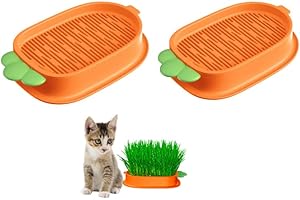 Changyeah Kit di coltivazione di erba per gatti, 2 vasi di crescita, scatola di plastica, vassoio idroponica per gatti e animali da compagnia (arancione)