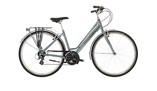 raleigh pioneer trail womens review