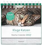 Kluge Katzen - Wochen-Kalender 2017 by