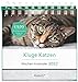 Kluge Katzen - Wochen-Kalender 2017 by