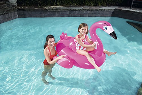bestway flamingo float