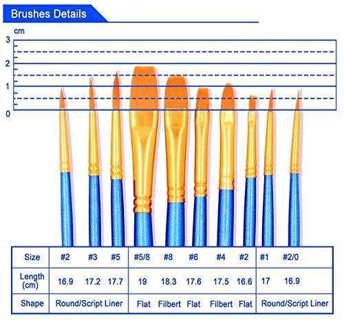 Feelily 10 Assorted Wasserfarben Wasserpinsel Aquarellfarben Pinsel Set Haarbürsten Art Nylon Künstler Malerei Pinsel Set, Blauer Griff - 3