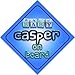 Baby Boy Casper on board novelty car sign gift / present for new child / newborn baby