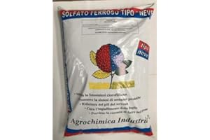 Agribios Solfato Ferroso Solfato di Ferro Tipo Neve Sacco da 25 kg Concime per Piante e Fiori