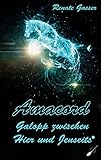 Amacord - Galopp zwischen Hier und Jenseits by Renate Gasser